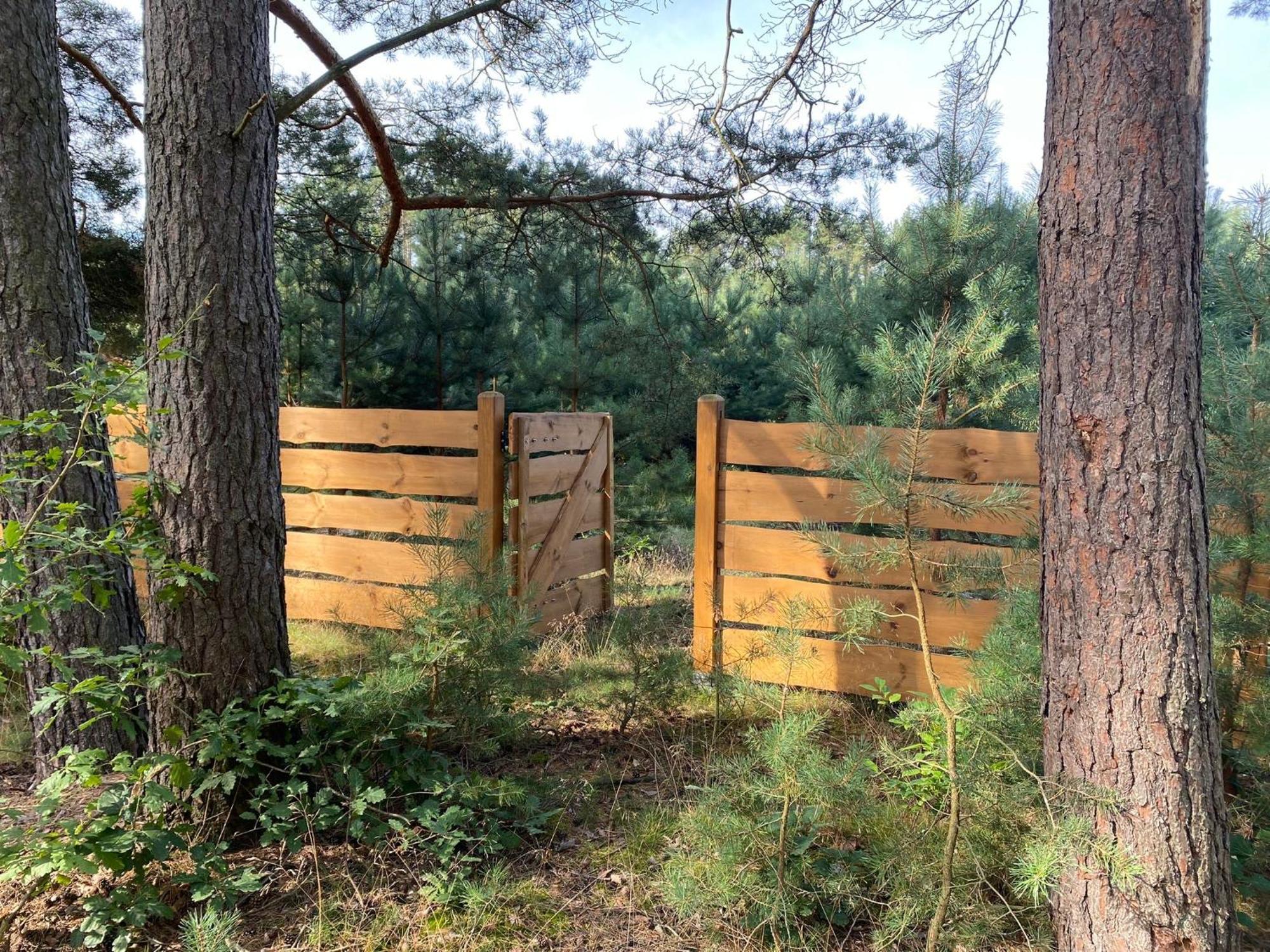 Vila Grotow 2E Drezdenko Exteriér fotografie